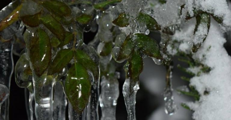 تأخير دوام مدارس بصيرا والشوبك بسبب الانجماد تأخير دوام مدارس بصيرا والشوبك بسبب الانجماد