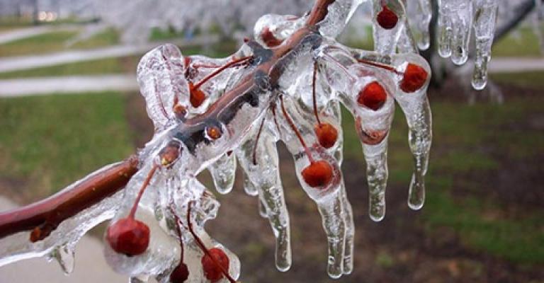 الصقيع الصقيع