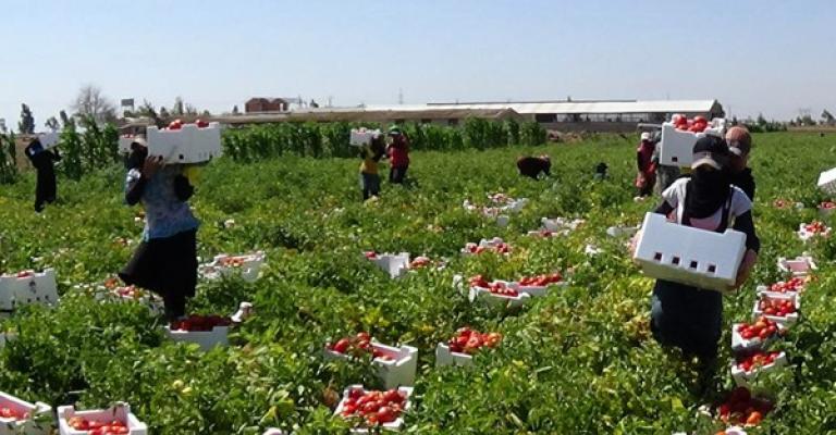 تخفيض ضريبة مدخلات الإنتاج الزراعي تخفيض ضريبة مدخلات الإنتاج الزراعي