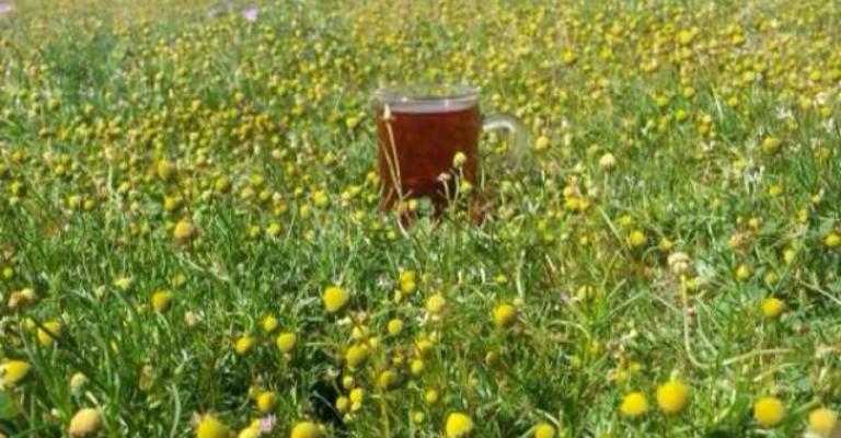 اجواء ربيعية معتدلة