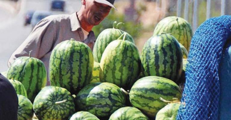 الامانة تعلن بدء استقبال طلبات تصاريح معرشات البطيخ الامانة تعلن بدء استقبال طلبات تصاريح معرشات البطيخ