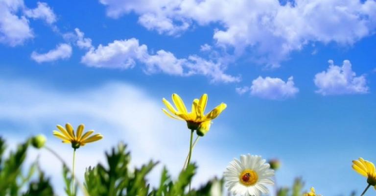 انخفاض على درجات الحرارة وأجواء ربيعية لطيفة انخفاض على درجات الحرارة وأجواء ربيعية لطيفة