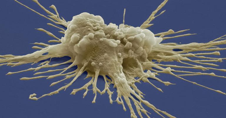 "الصحة" : لم نصدر اي ترخيص علاجي لمراكز خلايا جذعية "الصحة" : لم نصدر اي ترخيص علاجي لمراكز خلايا جذعية