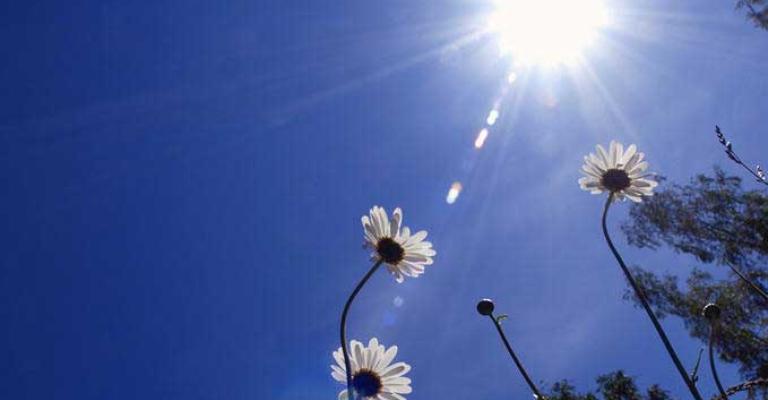 أجواء مشمسة والعظمى في عمان 22 درجة