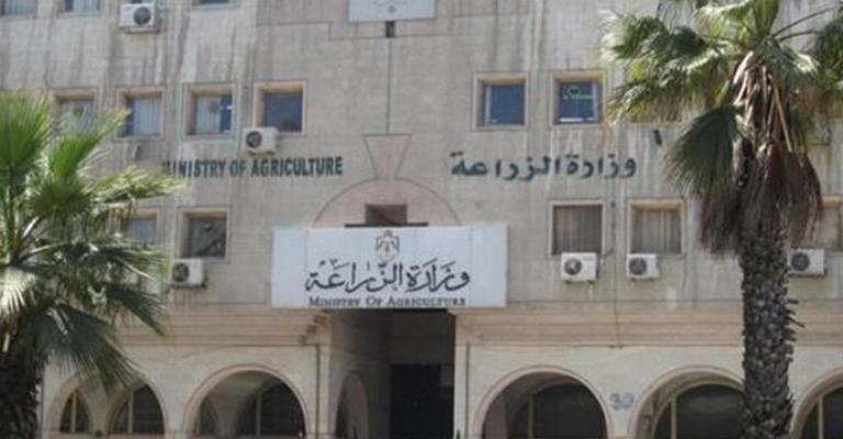 الزراعة: لا بلاغات إماراتية رسمية بوقف الاستيراد من الأردن
