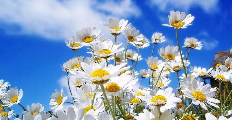 أجواء دافئة والعظمى في عمان 25 درجة