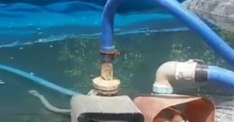 بيع مياه غير صالحة للشرب بوادي السير