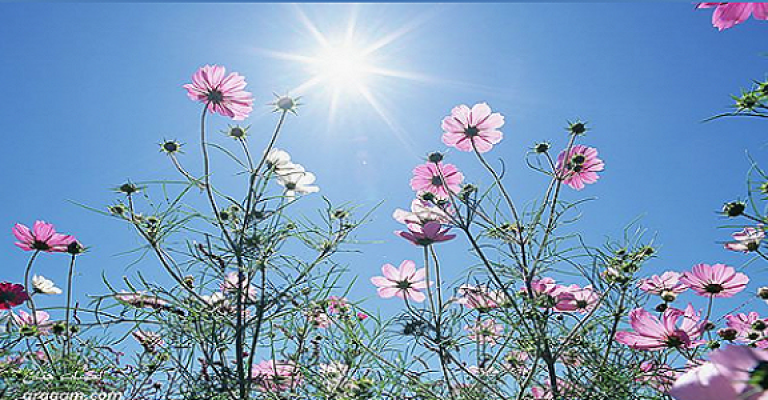 أجواء ربيعية والعظمى في عمان 35 درجة أجواء ربيعية والعظمى في عمان 35 درجة