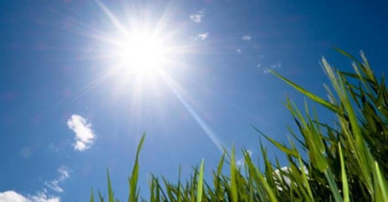 أجواء دافئة والحرارة أعلى من معدلاتها أجواء دافئة والحرارة أعلى من معدلاتها