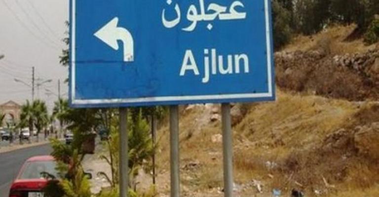 عجلون: وفاة طفلين شقيقين دهسا