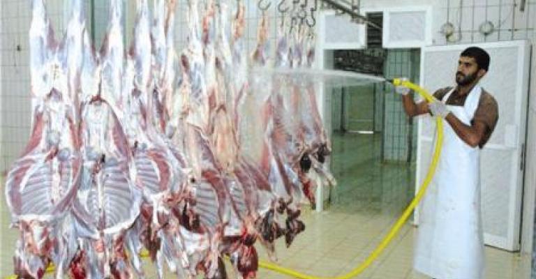 ذبحيات مسلخ الأمانة استعدادا لرمضان