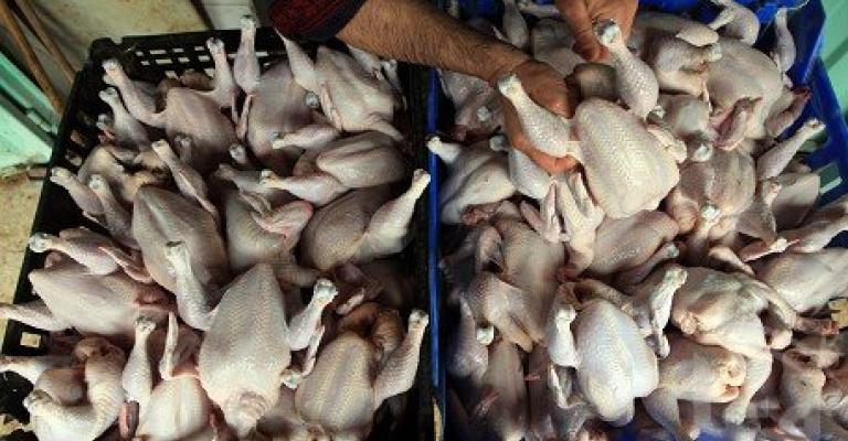 تهمة "تدوال غذاء غير صالح" لـ4 متهمين بقضية الدجاج الفاسد تهمة "تدوال غذاء غير صالح" لـ4 متهمين بقضية الدجاج الفاسد