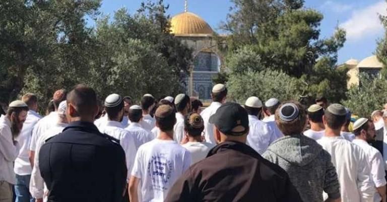 69 ألف مستوطن اقتحموا الأقصى منذ 2009 69 ألف مستوطن اقتحموا الأقصى منذ 2009