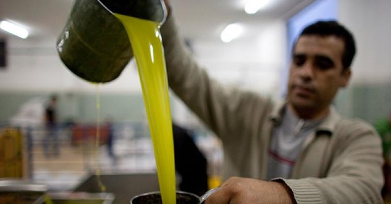 وقف إدخال زيت الزيتون من الضفة إلى المملكة وقف إدخال زيت الزيتون من الضفة إلى المملكة