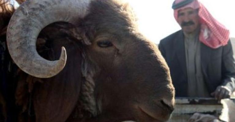 توفير 750 ألف أضحية للعيد