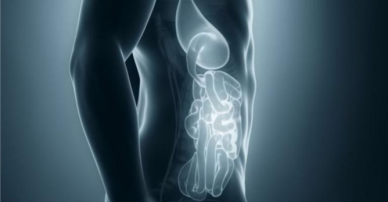 كاميرا طبية تصور داخل الجسم دون الحاجة لأشعة