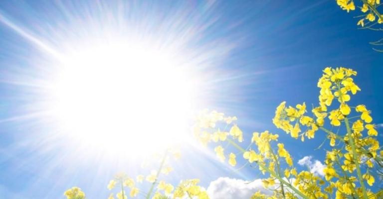 أجواء صيفية نهارا ولطيفة مساء