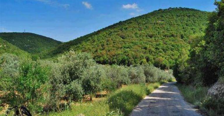 طائرة بدون طيار تكشف 15 اعتداء على البيئة في عجلون طائرة بدون طيار تكشف 15 اعتداء على البيئة في عجلون