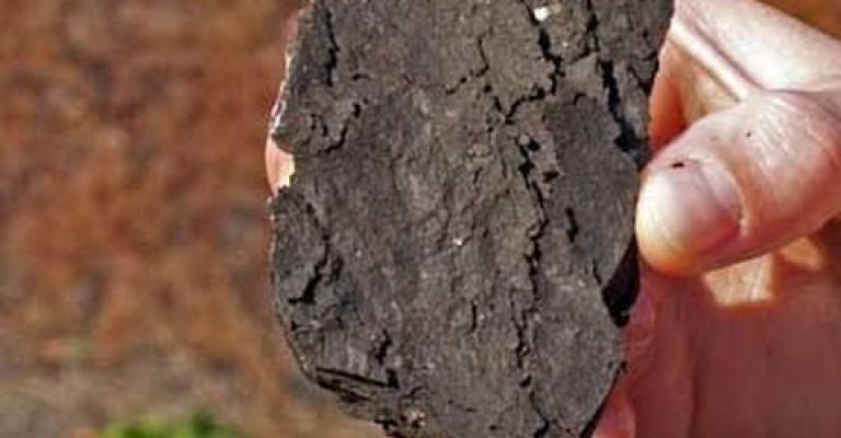 الأردن يبدأ بتحويل الصخر الزيتي إلى طاقة كهربائية