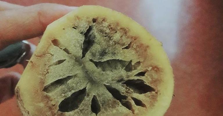 تحويل مزارعين الى المدعي العام على خلفية "البطاطا الفاسدة"