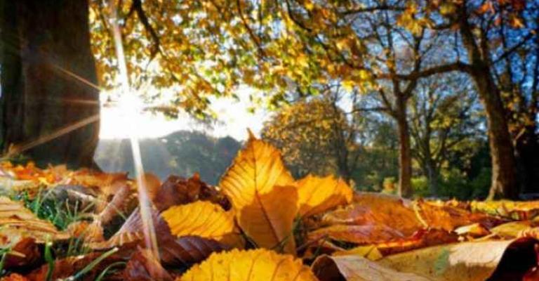 اجواء معتدلة اليوم وغدا وغائمة السبت