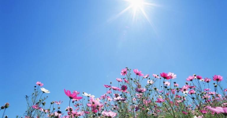 طقس لطيف اليوم وغدا وغائم الجمعة