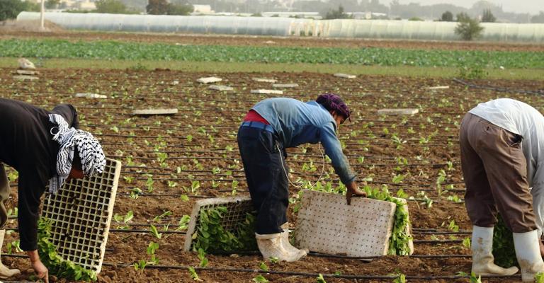 ارتفاع اسعار المنتجين الزراعيين خلال تسعة اشهر 12 % ارتفاع اسعار المنتجين الزراعيين خلال تسعة اشهر 12 %