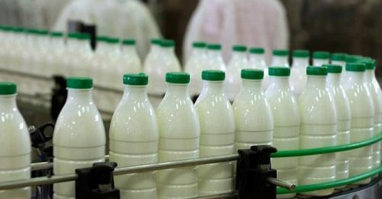 المهندسين الزراعيين تدعو لعدم المساس بالمنتجات الزراعية المصنعة المهندسين الزراعيين تدعو لعدم المساس بالمنتجات الزراعية المصنعة