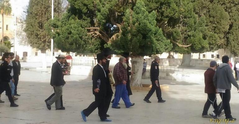 119 مستوطنًا وطالبًا يقتحمون الأقصى بحراسة مشددة