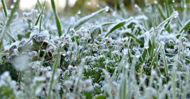 انحسار المنخفض الجوي وتحذير من تشكل الصقيع