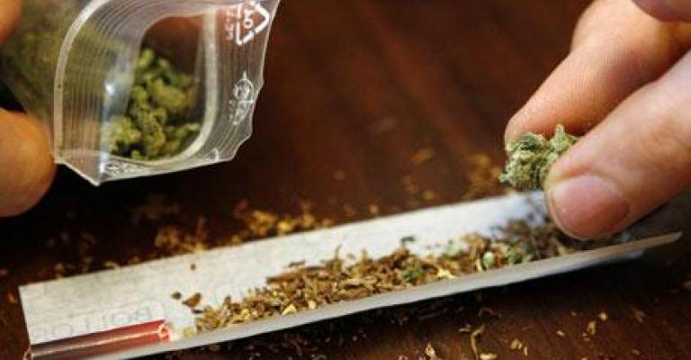 القبض على 12 شخصا من مروجي المخدرات في التاج القبض على 12 شخصا من مروجي المخدرات في التاج