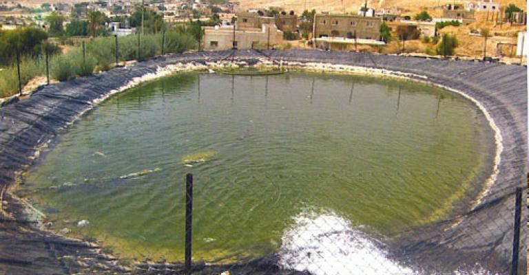 البرك الزراعية...مصائد للأرواح