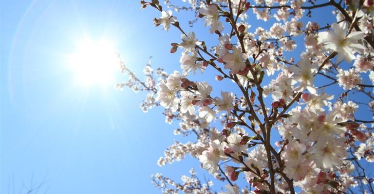 اجواء دافئة ولطيفة حتى الجمعة