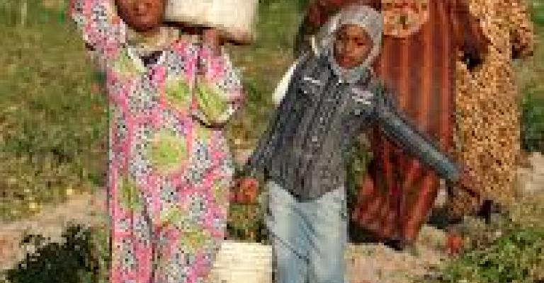 حقوق المزارعات في التأمين الصحي: مشروع كسب التأييد والمدافعة عن المزارعات في الاردن