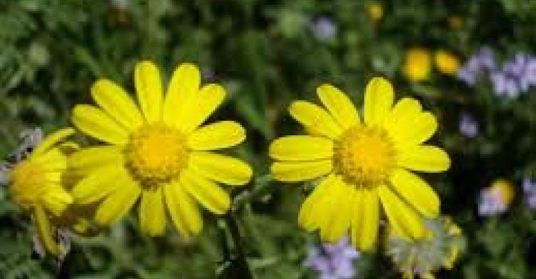 اجواء حارة اليوم وصيفية اجواء حارة اليوم وصيفية