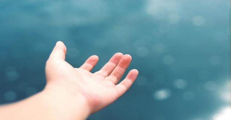 دعم نفسي لضحايا حادثة البحر الميت