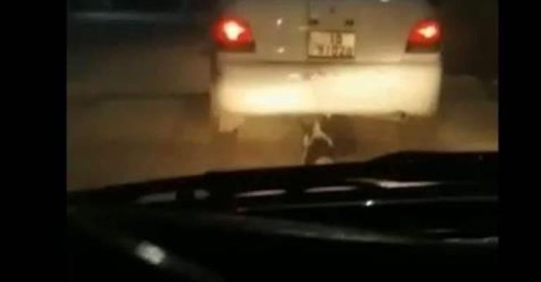 ضبط شخص قام بجر كلب بواسطة مركبته في الزرقاء ضبط شخص قام بجر كلب بواسطة مركبته في الزرقاء