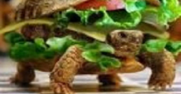 توضيح حكومي حول تخفيض الضريبة على الزواحف