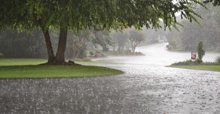 دعوة للاستفادة من كميات الهطول في قطاع الزراعة