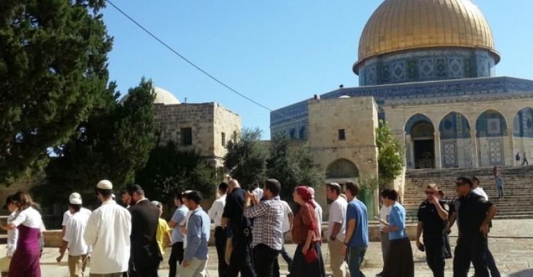 تحذيرات من تصاعد انتهاكات الاحتلال في الأقصى تحذيرات من تصاعد انتهاكات الاحتلال في الأقصى