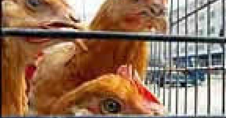 الأردن يعلن أول إصابة بشرية بأنفلونزا الطيور