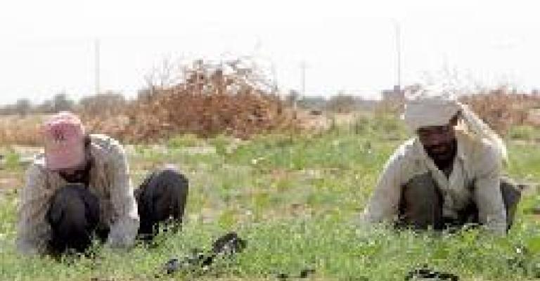 اتحاد المزارعين يطالب الحكومة بالعدول عن التوجه لفرض ضريبة على المزارعين