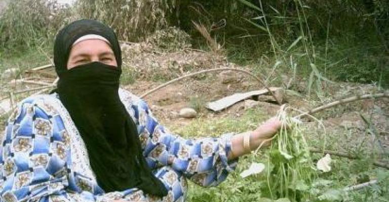 مزارعون يحتجون على نقص الأيدي العاملة