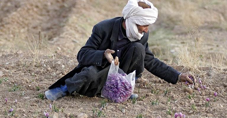 عاملات تحت الشمس بنظام “السُخرة” عاملات تحت الشمس بنظام “السُخرة”