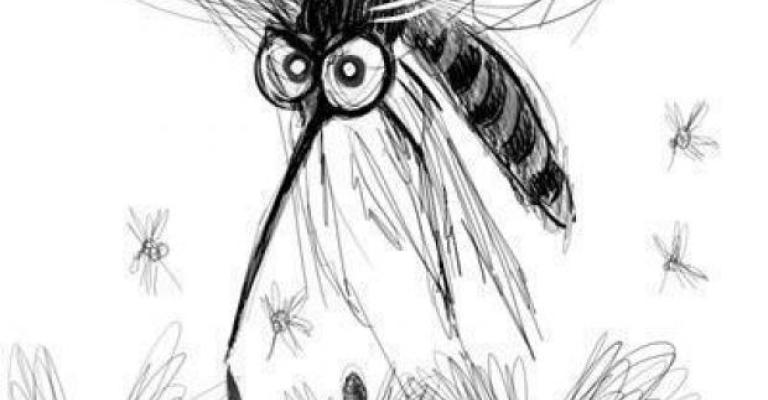 مدونة محمد علي: أنواع الناموس