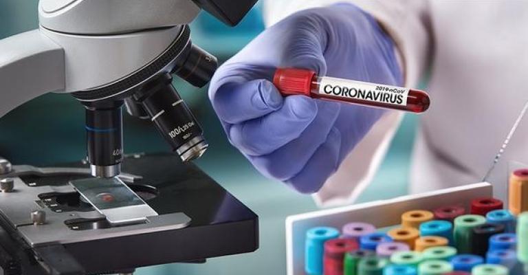 “صحة الطفيلة” تنفي تسجيل أي إصابات بفيروس كورونا