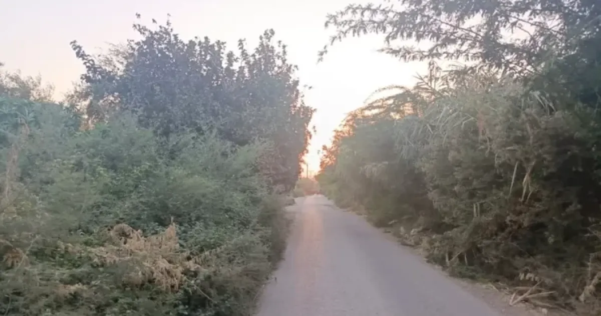 Field Program Puts the Central Jordan Valley File on Officials’ Table (Watch)