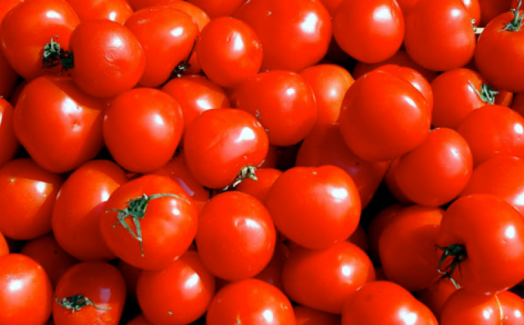 انخفاض أسعار الخضار والبندورة بـ5 قروش