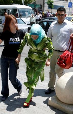 الافراج عن سيدة الخس