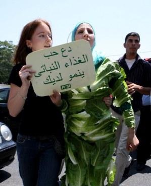 الافراج عن سيدة الخس